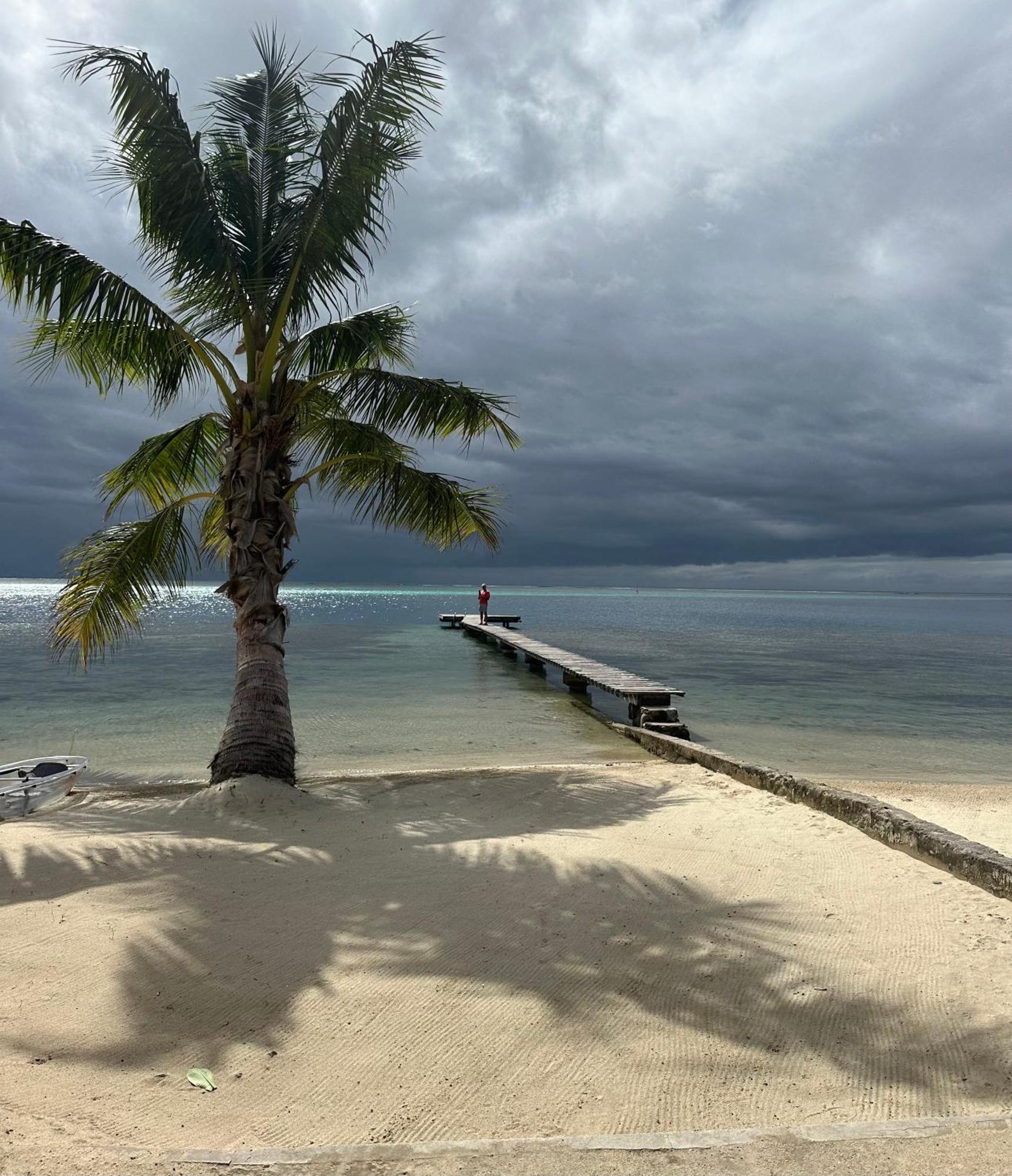 Chez Jay Moorea Beach House Villa Maharepa  Eksteriør bilde